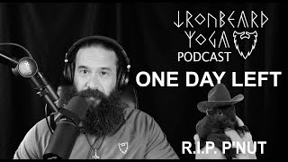 Ironbeard Yoga Podcast  ONE DAY LEFT  RIP Peanut  11–42024  Episode 9 [upl. by Ontina]