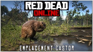 RED DEAD ONLINE  EMPLACEMENT CASTOR [upl. by Delle]