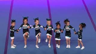 Cheer Sport Pocket Sharks Tiny Prep 1 [upl. by Joye]