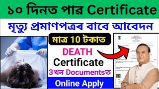 Death Certificate Online Apply A to Z documentDeath CertificateOnline ProcessSewa Setu Online [upl. by Nnyleitak]