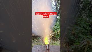 Will salt be formed if sodium metal is mixed with chlorine water 💥😳।ytshorts chemistry science [upl. by Fawne227]