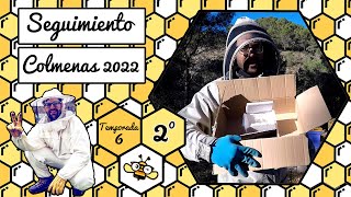 Apicultura 2022  Seguimiento Nº2 🐝🧡🎥 6 de Enero 2022 [upl. by Etteyafal78]