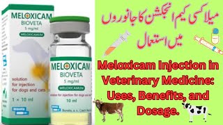 Meloxicam Injection in Veterinary Medicine Uses Benefits and Dosage [upl. by Philippe243]