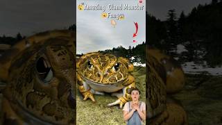 Amazing Gland Frog Captured😱🤯 on Google Earth 🌎 and Google maps shorts Fun With Earth [upl. by Siuqaj151]