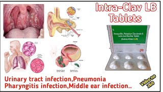 Amoxycillin Potassium Clavulanate And Lactic Acid Bacillus Tablets use in hindi Intra clav LB Tabs [upl. by Oira372]