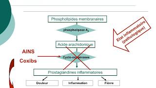 Pharmacologie des AINS et des corticoïdesCours commenté [upl. by Aciram]