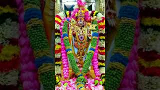 Kantha muruga nambiyavar vanthal tamil tamilsong murugan [upl. by Mandych]