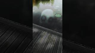 Monster in Water 💀 scary creepy waterscary horrorvideo dontwatchthisvideo [upl. by Riffle]