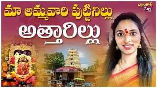 మా ఊరి అమ్మవారి పుట్టినిల్లు అత్తారిల్లు Temples in Vizianagaram  Bangkok Pilla [upl. by Lenod]