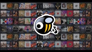 MusicBee el reproductor más completo  Vista General [upl. by Mountfort]