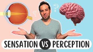 Sensation vs Perception Whats the Difference [upl. by Dyche]