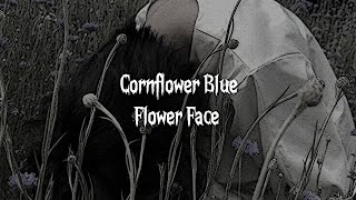 Cornflower Blue  Flower Face  Lyrics Video [upl. by Riebling]