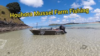 Houhora Mussel Farm Fishing With Nova [upl. by Elliott]