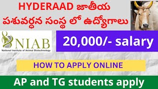 NIAB PA RECRUITMENT 2024  NIAB HYDERABAD NOTIFICATION 2024 NIAB RECRUITMENT 2024 [upl. by Nirak]