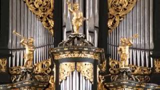 Sietze de Vries  Martiniorgelvespers Psalm 86 [upl. by Melitta]