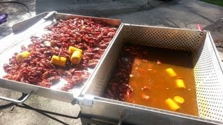 How To Boil Louisiana Crawfish in the King Kooker 9090 Boiler Setup [upl. by Eddy]