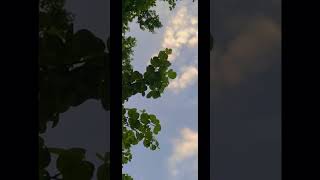 cloud amp tree cloudamptree adventure photography formclick village gujarat [upl. by Tybie]