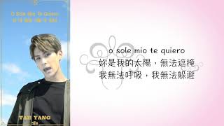 SF9 o sole mio 中文翻譯歌詞 [upl. by Manella72]