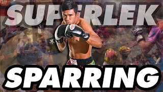 Superlek Sparring with Random Guys in USA  10Minute Highlights  YOKKAO Tour 2022 [upl. by Erbes]