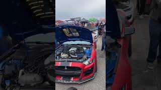 Shelby GT500 Insane Supercharger Whine 🏎️ [upl. by Malonis]