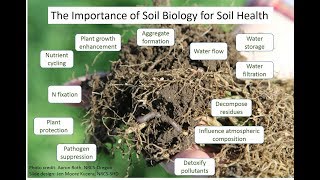 Biological Indicators of Soil Health [upl. by Htiderem891]