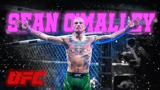 Sean OMalley  Knockout Highlights [upl. by Annnora]