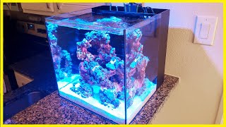 Step 2  Adding Water to the ZoanthidOnly Nano Reef [upl. by Nauht]