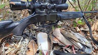 CAZA DE PALOMAS CON RIFLE DE AIRE🔥💯👀 caza [upl. by Ailaroc]