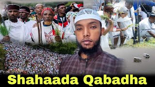 Gingilchaa Warii Irreecha Dheyixan Shahaada Qabadhaa ustaz muaz nazif ShahaadaQabadha [upl. by Eiramanna]