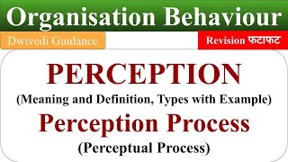 Meaning of Perception perception process perceptual process ob organisational behaviour [upl. by Potter753]