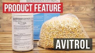 Avitrol Environmentally Sound Bird Control [upl. by Cohette]