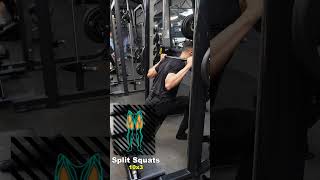 Master the Smith Machine for INSANE Leg Gains [upl. by Bunce369]