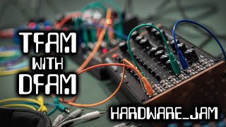 moog DFAM amp Mavis DAWless Live Jam [upl. by Auqenat]