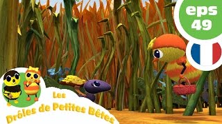 DRÔLES DE PETITES BÊTES  EP49  Une langue bien pendue [upl. by Cordell]