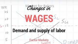 Labor Markets  Change in in Equilibrium Wage Rate and Level of Employment [upl. by Nysila]