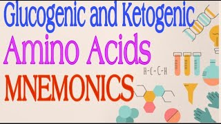 Glucogenic and Ketogenic Amino Acids MNEMONICS  Lecture 3 [upl. by Reginald]