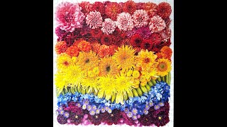 Galison Jigsaw Puzzle  Rainbow Flowers [upl. by Giovanni]