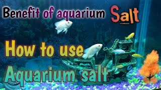 Benefit of aquarium salt amp how to use aquarium salt [upl. by Winslow991]