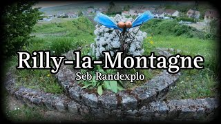 Randonnée  RillylaMontagne Marne 51 [upl. by Negyam]