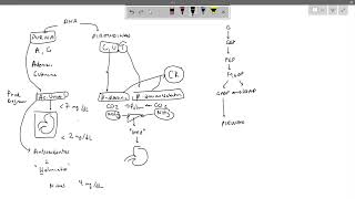 Resolucion de Caso Clinico de Gota gout purines  biochemistry rheumatology pharmacology [upl. by Ahsenek]