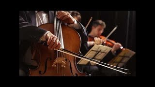 String Quartet  Classical Violin Cello and Viola Music 10 Hours Best Relaxing Music [upl. by Rodoeht]