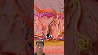 When do ingrown hairs happen – Sign up now to learn more funny short viralvideo [upl. by Gibbs425]