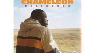 Daliwonga – MENEMENE Ft Focalistic Kabza De Small amp DJ Maphorisa Chameleon album [upl. by Nevins]