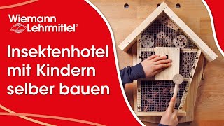 Ein Insektenhotel mit Kindern selber bauen 2022 [upl. by Aitram]