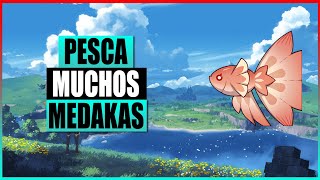 Genshin Impact  Guía de pesca 1  Puntos de pesca del pez Medaka [upl. by Yeuh465]