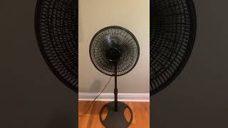 Stay Cool Everywhere Lasko 16inch Oscillating Floor Fan Review  Ultimate Summer MustHave [upl. by Cris]