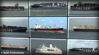 Shipspotting in Cuxhaven  August 2010 [upl. by Repmek589]