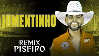 Jumentinho Remix Piseiro Guilherme Silva [upl. by Samanthia889]