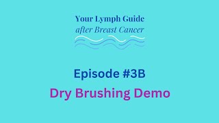 3B Dry Brushing Demo [upl. by Alec103]