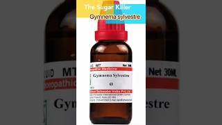 The Sugar KILLER  Homeopathic medicine  Gymnema Sylvestre  Diabetes mellitus  drkirtivikram [upl. by Yreme]